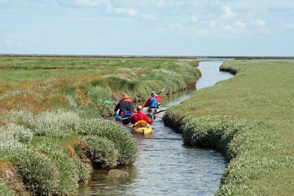 Waddenhoes Pieterburen